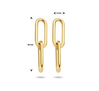 Verguld Oorhangers Paperclip