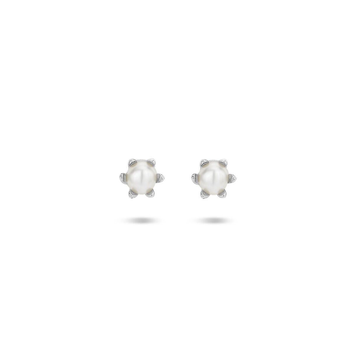 Freshwater Pearl Stud Earrings